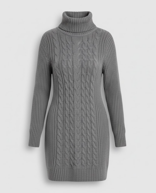Women's Turtleneck Dress